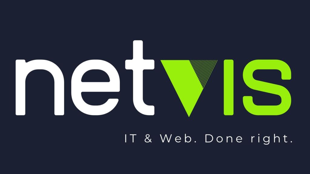netvis website preview